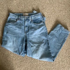 Everlane Cheeky Jean- 27 Crop